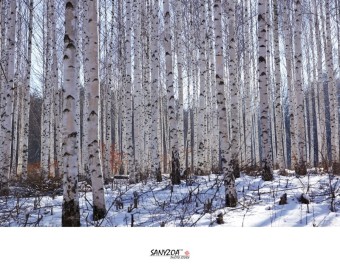 겨울 국내여행지 추천 베스트 5 인제1