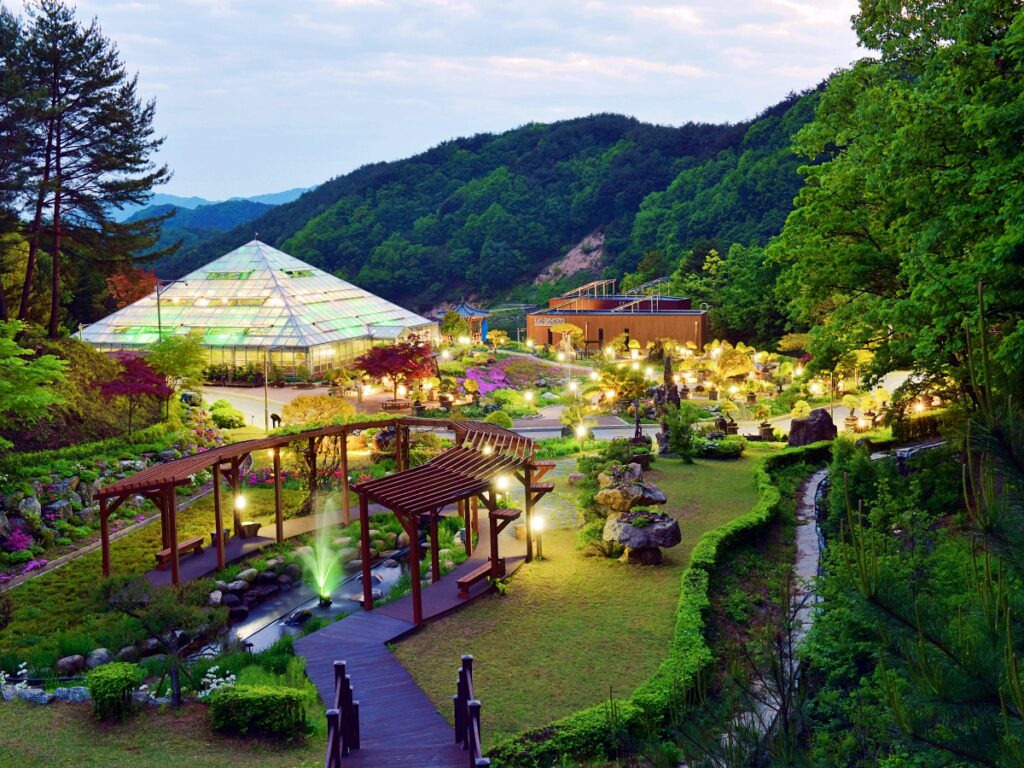 양구 시티 투어 양구수목원