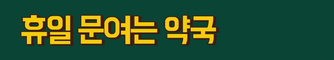 휴일 진료 병원, 약국 정보