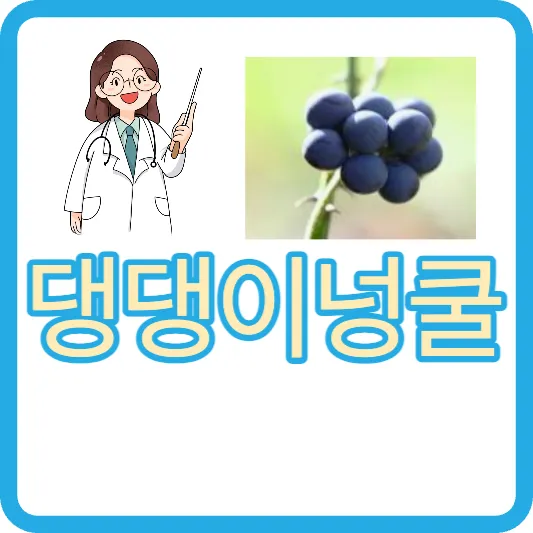 댕댕이넝쿨 효능 댕댕이덩굴 부작용 한방효능