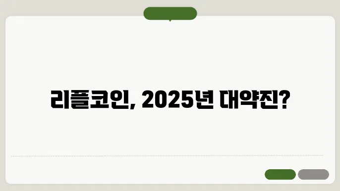 리플코인 전망 및 예상금액