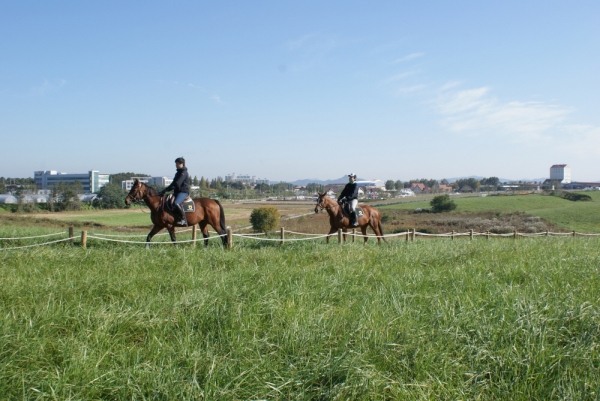 승마를 하고 있는 사람들