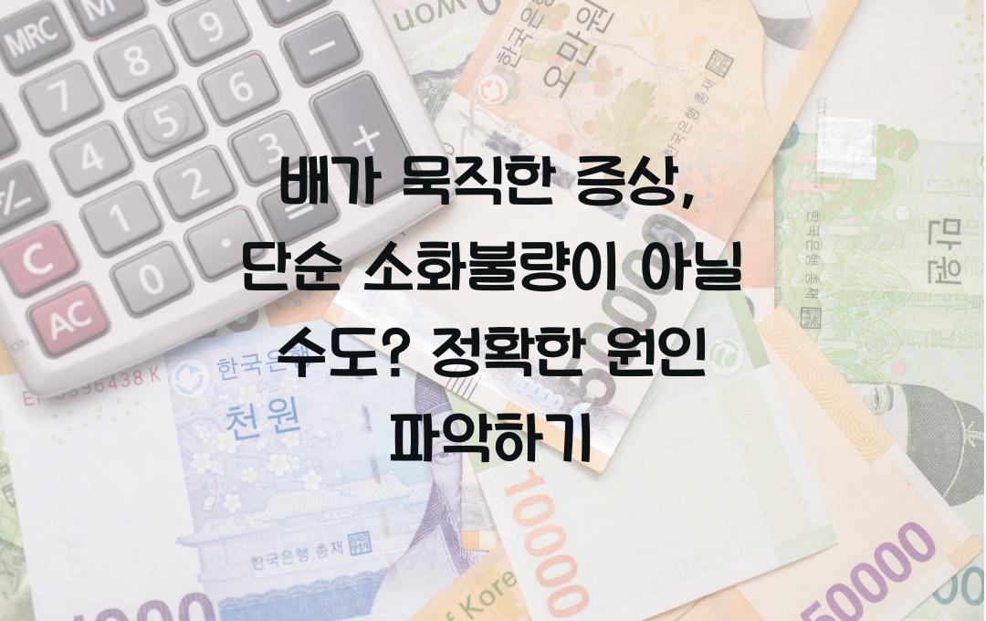배가 묵직한 증상 - 단순한 소화불량이 아닐 수도? 원인 정리!