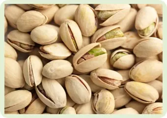 피스타치오 효능 권장섭취량 칼로리_5