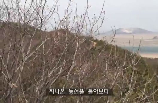 나뭇가지 사이로 돌아본 지나온 능선과 물가