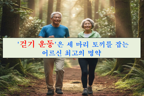'걷기 운동은 세 마리 토끼를 잡는 어르신 최고의 명약'이라는 제목을 나타내는 이미지