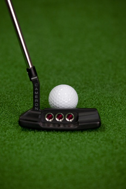 퍼터 준비 사진