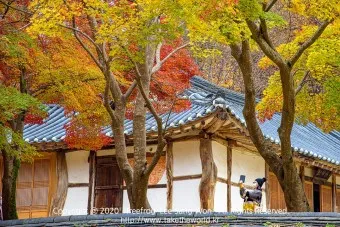 공주 가볼만한곳 베스트10 현지인 추천 필수코스_6