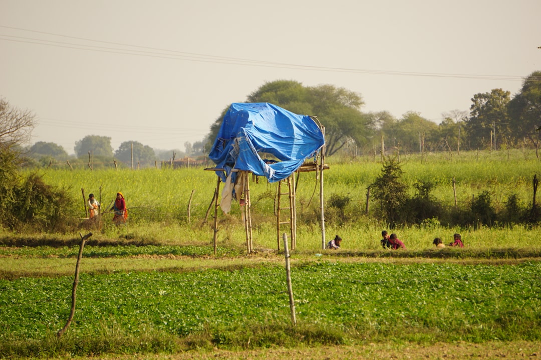 Agricultural land