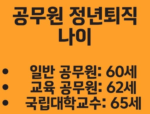 정년나이