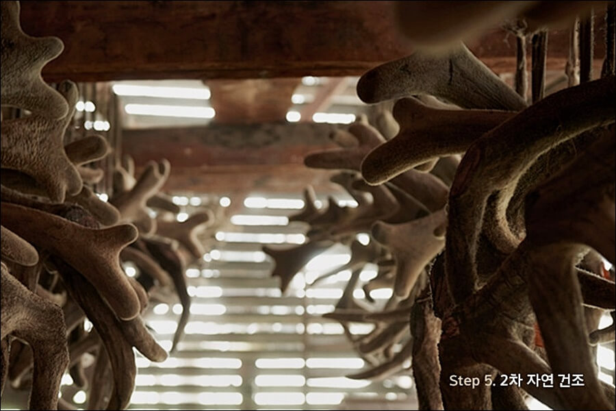 구전녹용 효능 가격 정보 (임영웅 건강식품)