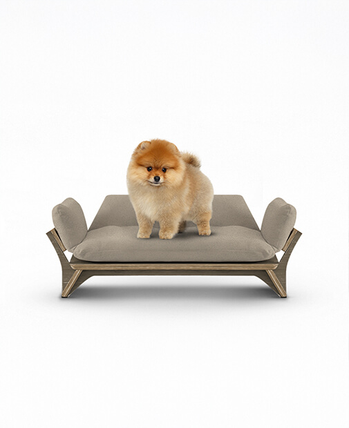 강아지 계란 급여법