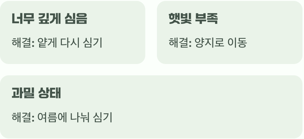 몇 년째 잎만 무성하다면?