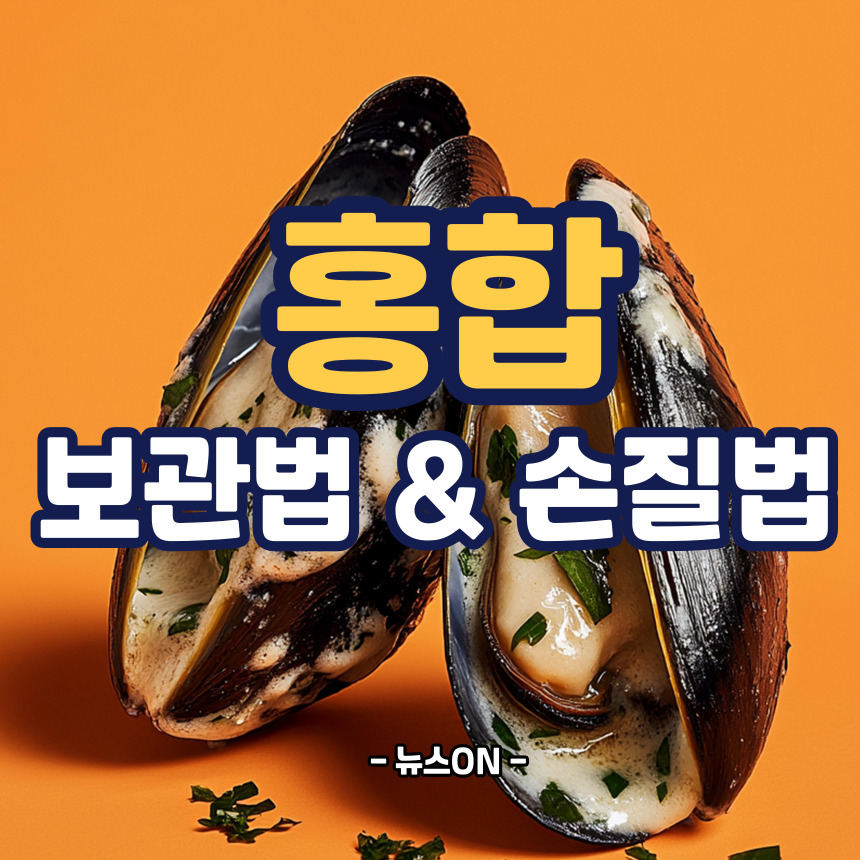 홍합 손질법