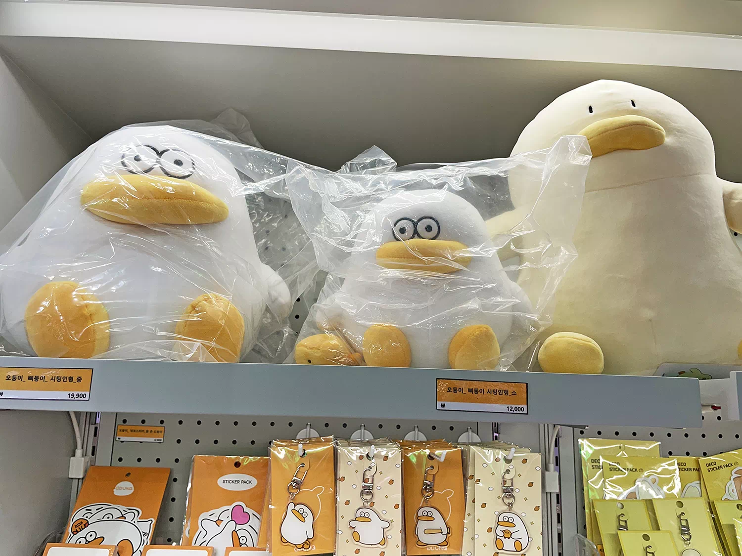 오둥이 인형과 키링