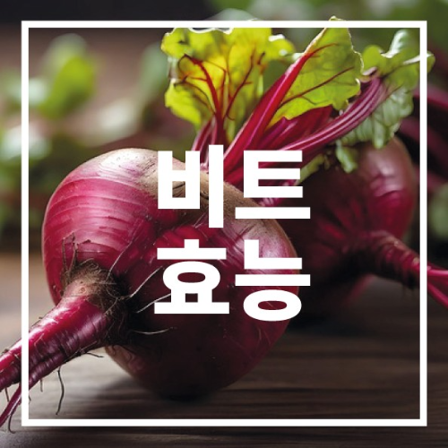 비트 효능