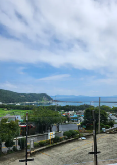 전남 신안 도초도 수국축제