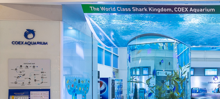 코엑스 아쿠아리움
