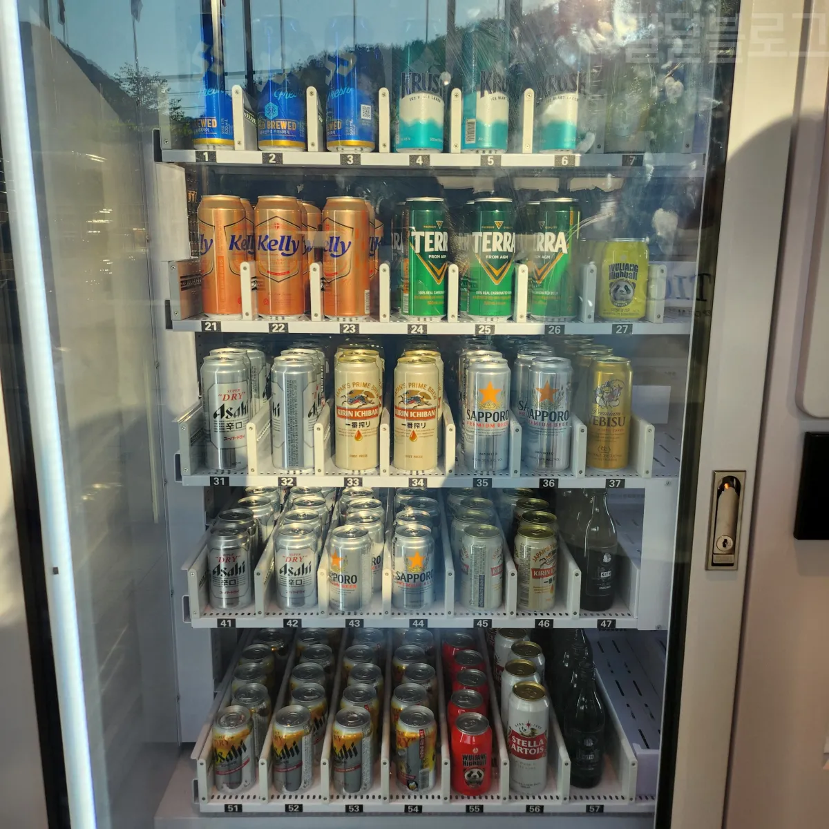 정선-파크로쉬-편의점-맥주