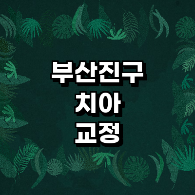 부산 부산진구 교정 치과