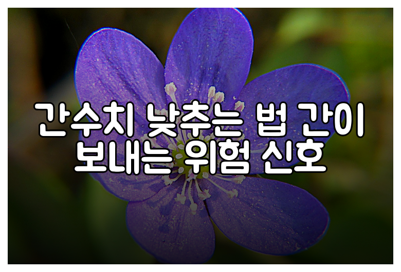 간수치 낮추는 법 간이 보내는 위험 신호