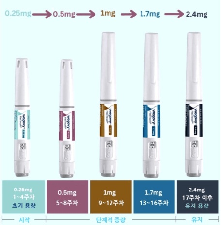 위고비 주사보다 먹는약 효과
