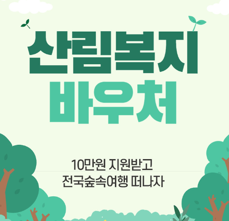 산림복지바우처로 숲속에서 힐링하기