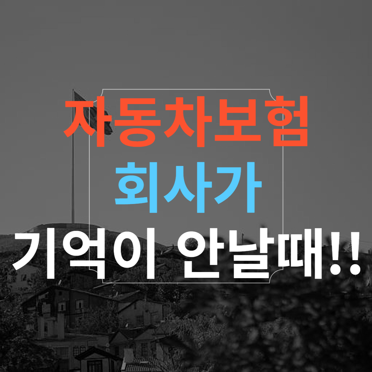 자동차 보험 조회