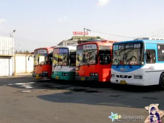 파주 문산 시외버스터미널 금촌 고속버스 시간표 예매 요금_7