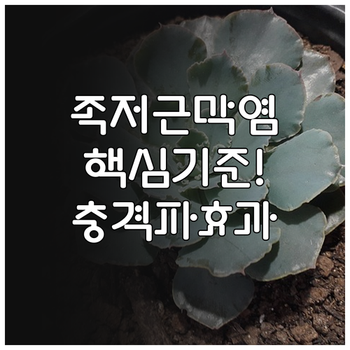 부산 연제구 족저근막염 초음파 충격파..