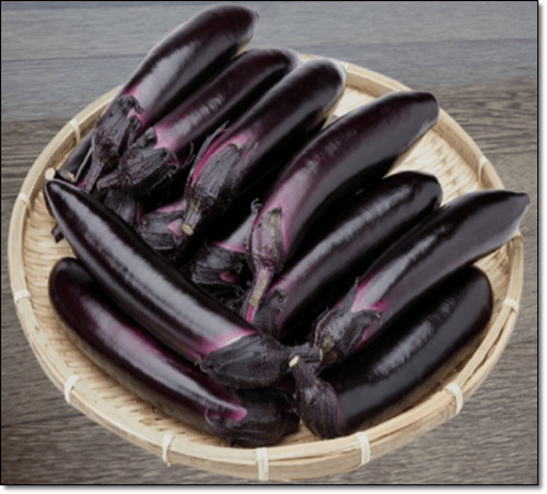 신선한 가지