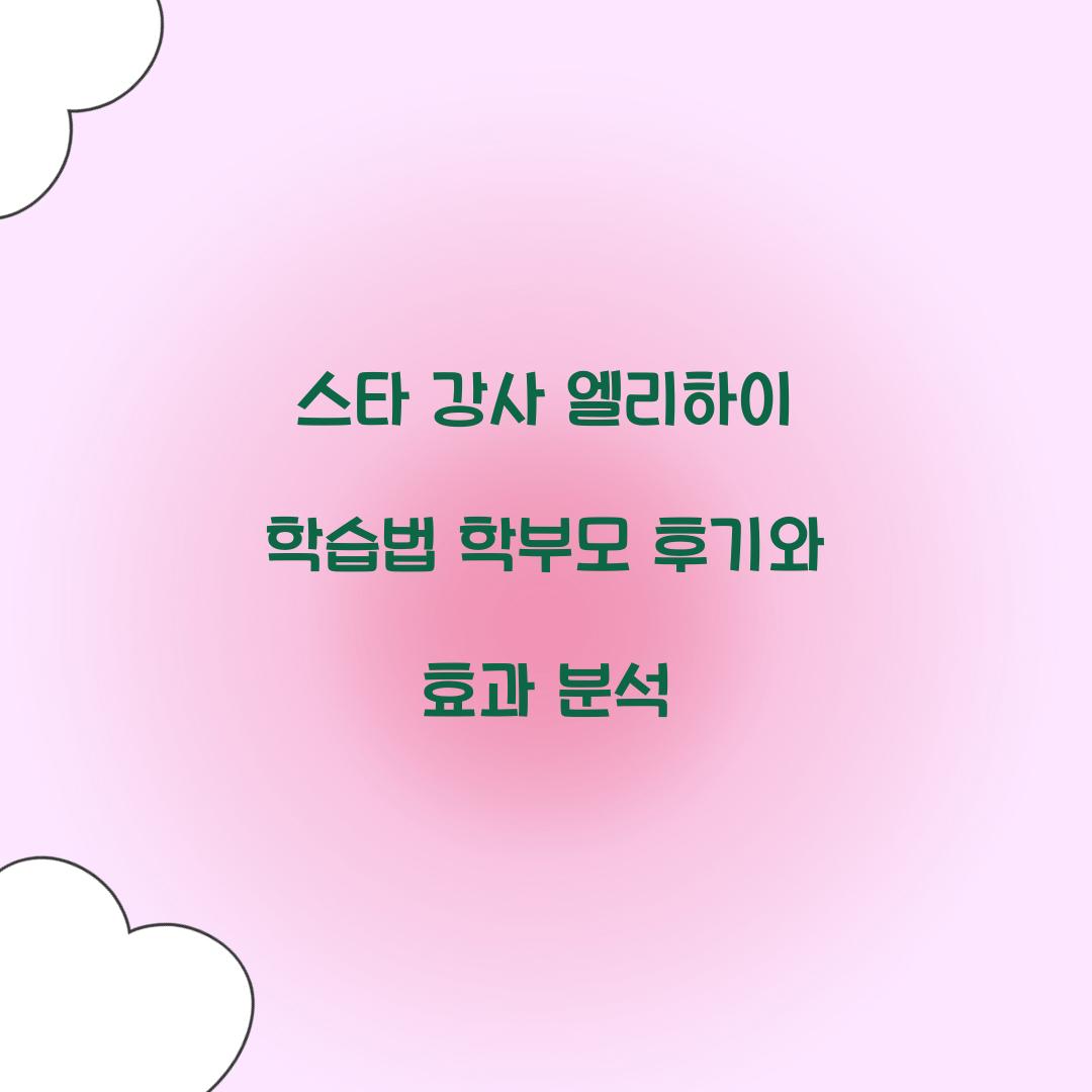 스타 강사 엘리하이 학습법