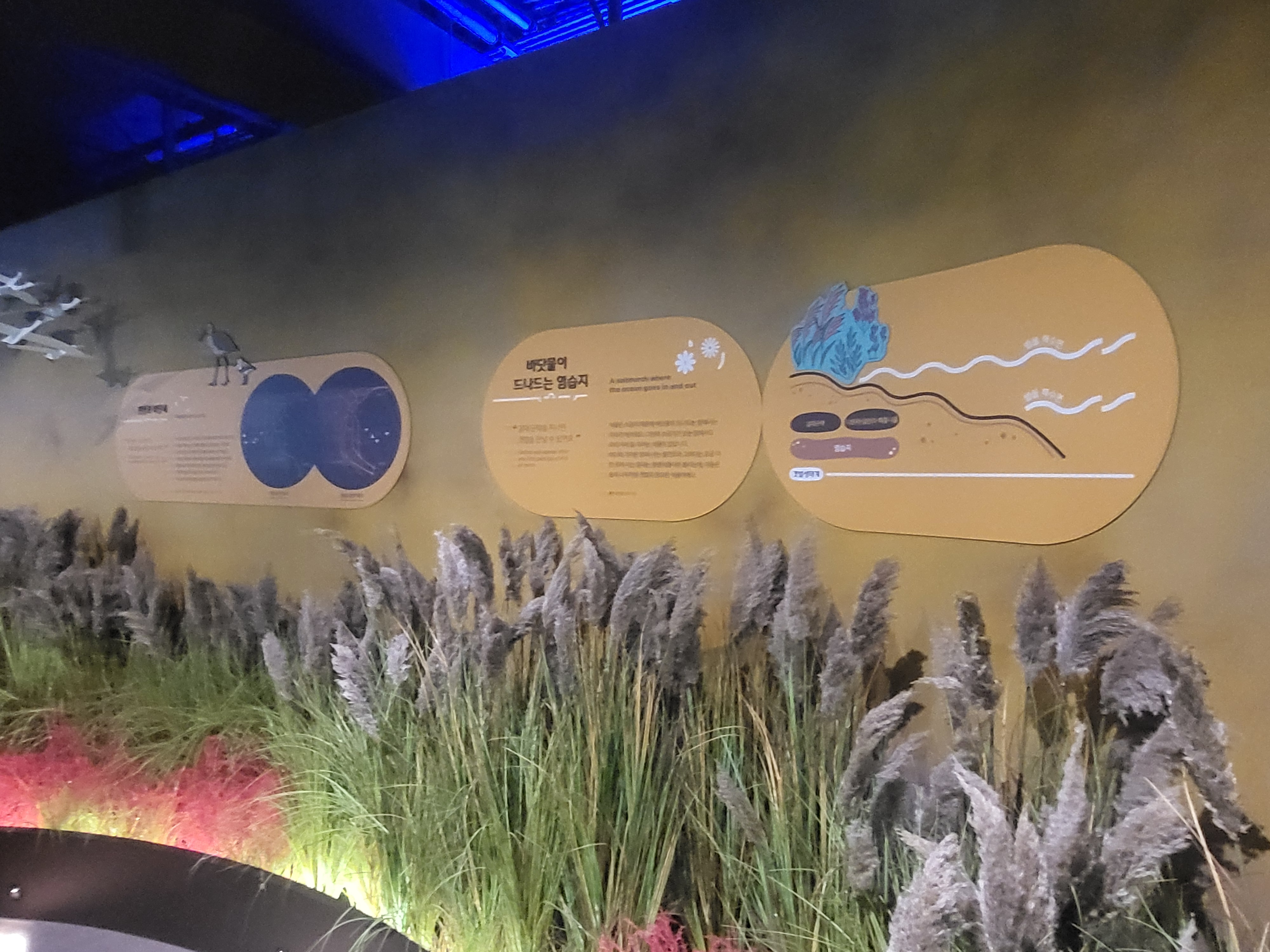 시흥시 해양생태과학관 제막식