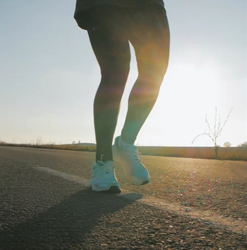 사용자별 구매 가이드 및 추천 포인트