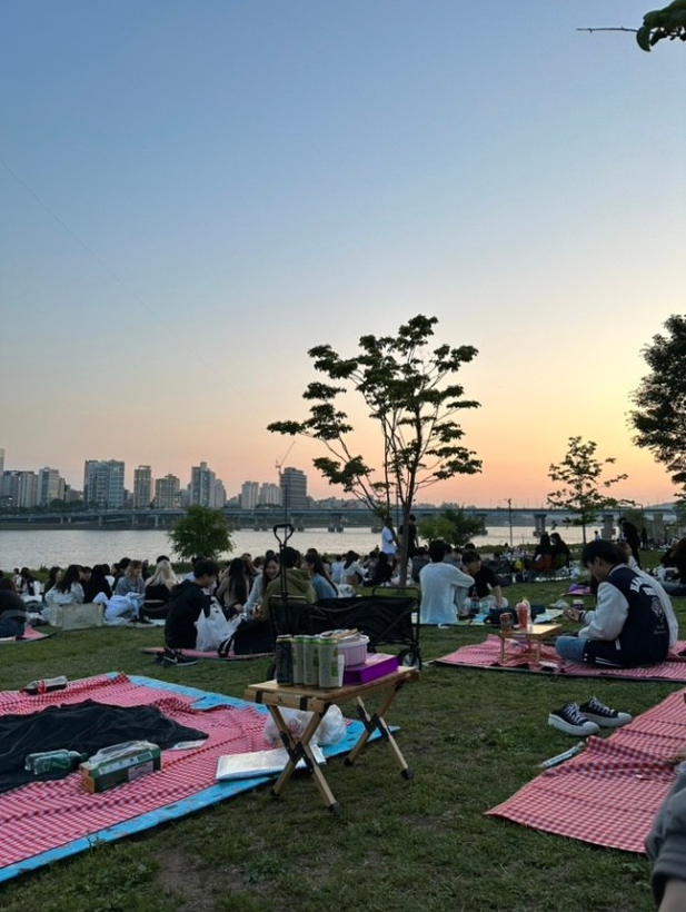 한강 피크닉