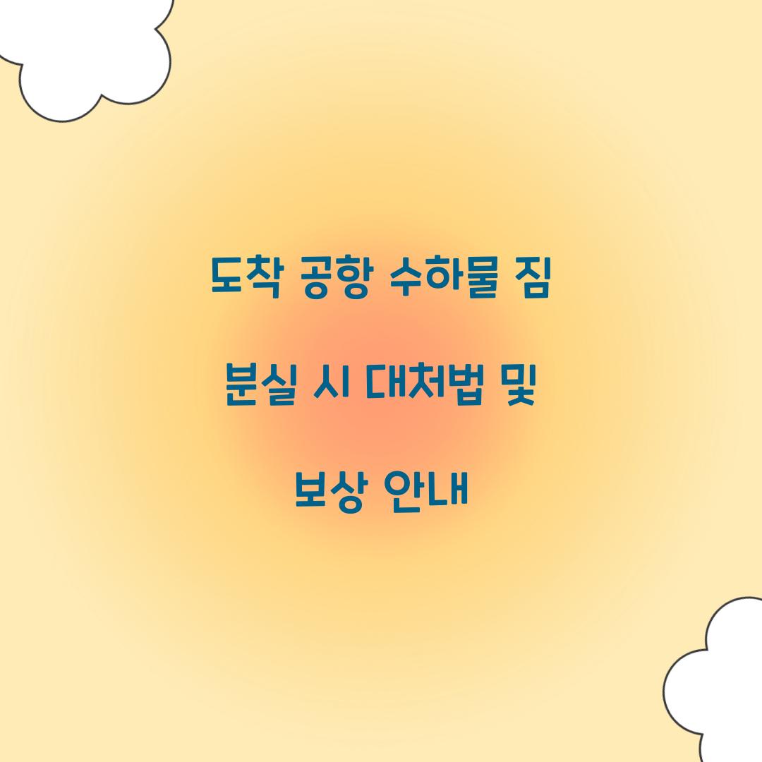 도착 공항 수하물 짐 분실