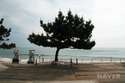 정동진해돋이