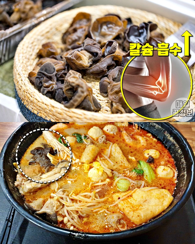 뼈 잘붙는 음식,뼈에 좋은 음식,골다공증에 좋은음식,목이버섯