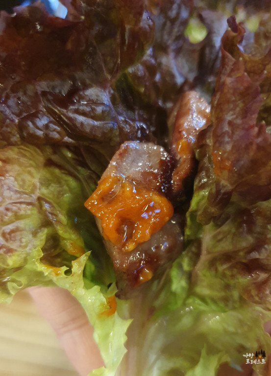 강남 갈매기 & 삼겹살 고기 한입