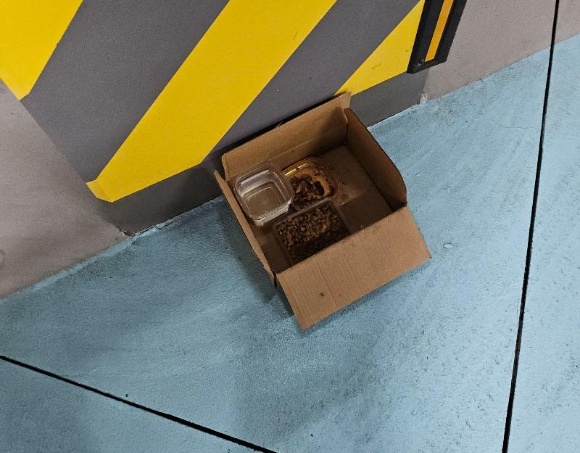 지난 25일 온라인 커뮤니티 '보배드림'에는 국내 한 아파트 지하주차장에 캣맘이 고양이 밥통을 설치해 불편하다는 주민의 사연이 올라와 화제가 됐다. 사진은 커뮤니티 게시글 캡처. [사진=보배드림]