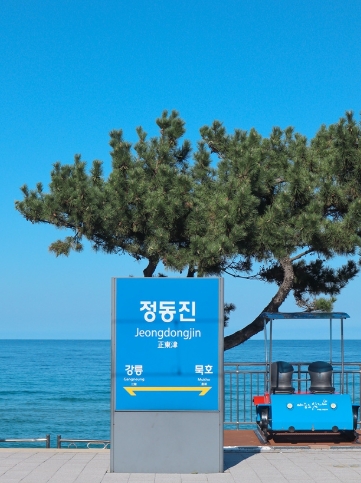 동해산타열차 정동진역
