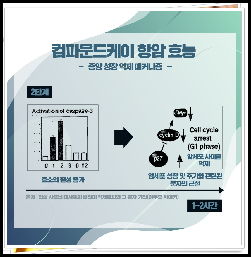 자궁경부암 반응성 세포변화