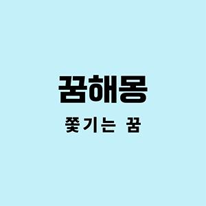 쫓기는꿈