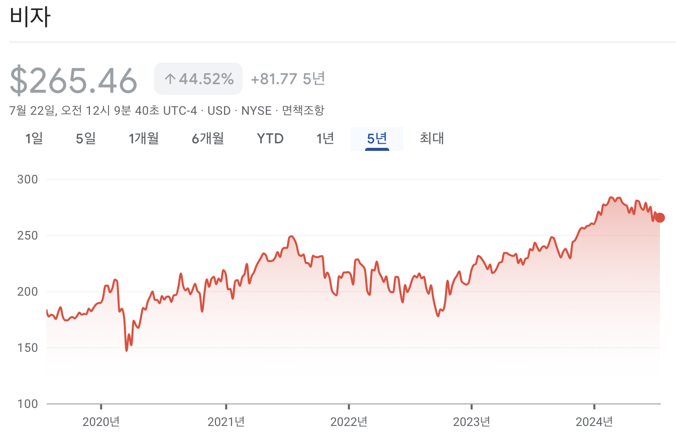 비자 주가 차트