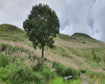 황매산 오토캠핑장_19