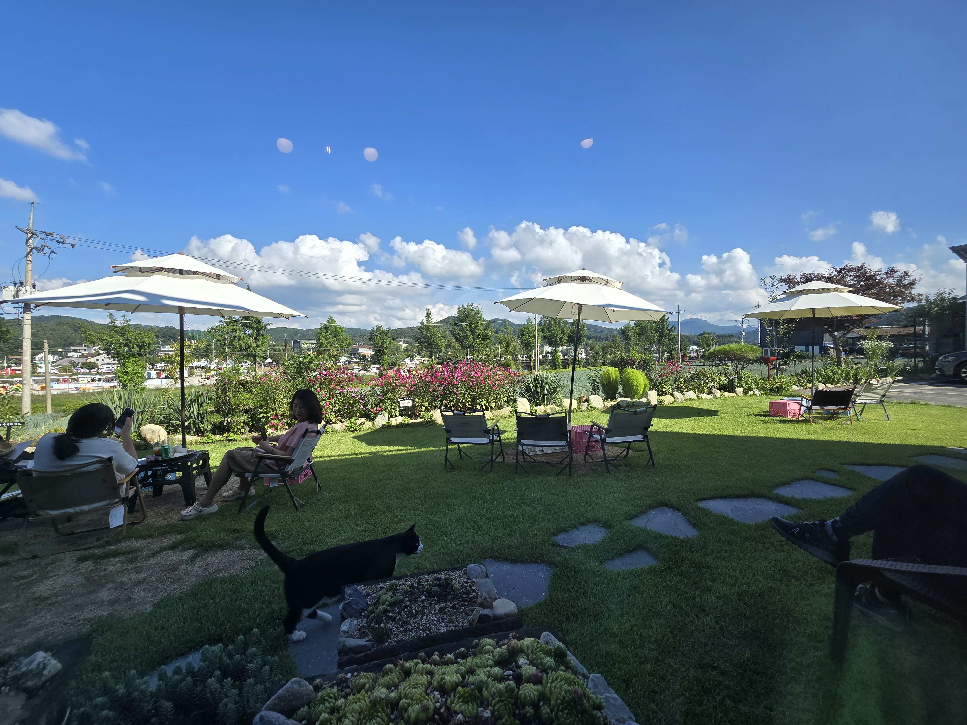 2024평창효석문화제 MAKA커피숍