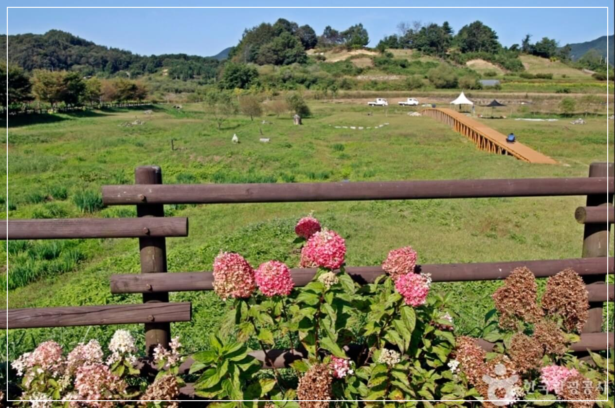 진안 가볼만한곳 베스트10 신지천 생태습지