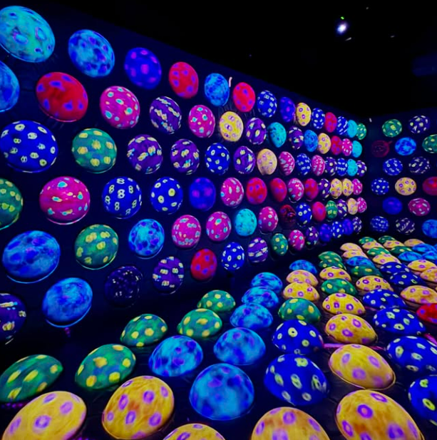 후쿠오카놀거리 03