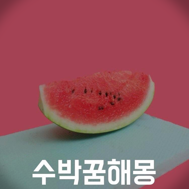 수박 꿈