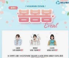  MG손보의 청산 가능성과 계약자 피해 예상